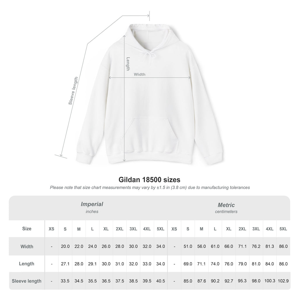 FS Plain Hooded Sweatshirt
