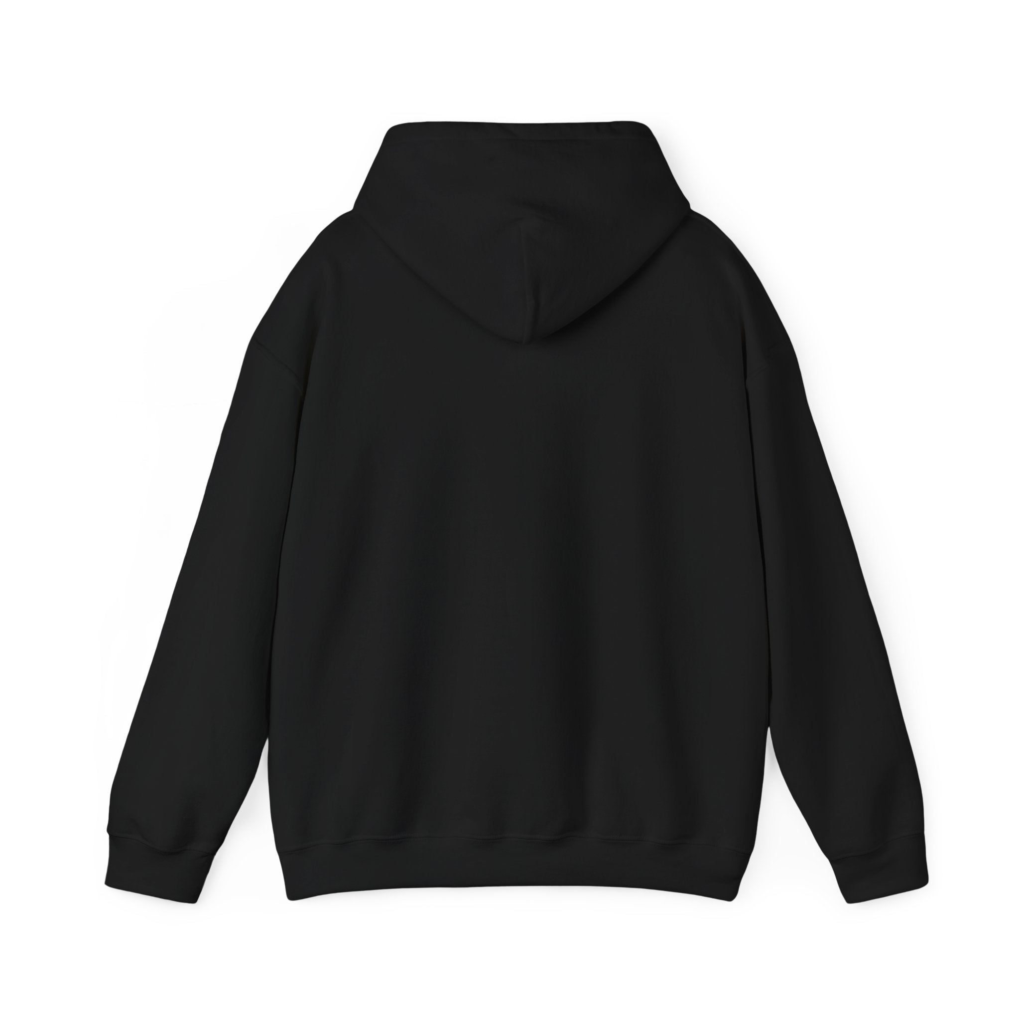 FS Plain Hooded Sweatshirt